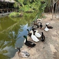 The Ozone Bangkrajao