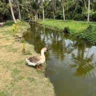 The Ozone Bangkrajao