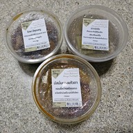 White Story United Silom Center