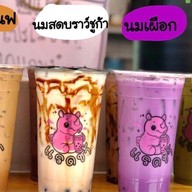 แรดชากันตนา แรดชากันตนา