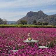 บรรยากาศ Audrey Hobby Farm