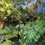 Celapot cafe x gallary