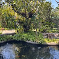 Celapot cafe x gallary