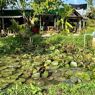 ครัว ณ ริมนา