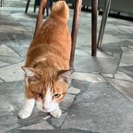 เมนูของร้าน เจียบเฮงหลี (เฮียฮวด ท่าฉลอม)