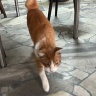 เจียบเฮงหลี (เฮียฮวด ท่าฉลอม)