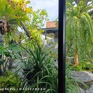 บรรยากาศ Cafe Amazon บางปะอิน กาญจนภิเษก สาย9 ขาออก
