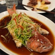 The moon cuisine ทองหล่อ ทองหล่อ