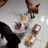 Indy coffee ร้านอินดี้ ค๊อฟฟี่ ซอย7