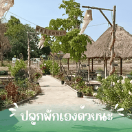 บรรยากาศ BIG HOUSE cafe and Restaurant