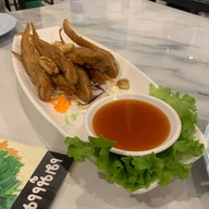 ปลาจุ่มชมโขง