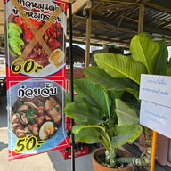 ก๋วยเตี๋ยวต้มยำ ฅนละโว้