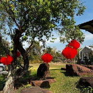 Tree zone coffee cafe