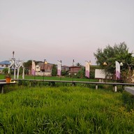 มายาวี ซีฟู้ด - อาหารไทย จีน ส้มตำ ยำแซ่บ กุ้ง หอย ปลาหมึก ปู ปลาเป็นๆ