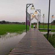 มายาวี ซีฟู้ด - อาหารไทย จีน ส้มตำ ยำแซ่บ กุ้ง หอย ปลาหมึก ปู ปลาเป็นๆ