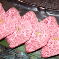 Tokyoxxx Premium Ari