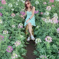 ชนา ซาลอน