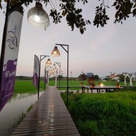 มายาวี ซีฟู้ด - อาหารไทย จีน ส้มตำ ยำแซ่บ กุ้ง หอย ปลาหมึก ปู ปลาเป็นๆ