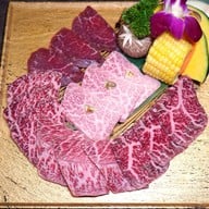 Tokyoxxx Premium Ari