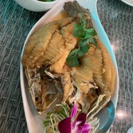 มายาวี ซีฟู้ด - อาหารไทย จีน ส้มตำ ยำแซ่บ กุ้ง หอย ปลาหมึก ปู ปลาเป็นๆ