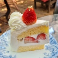 เมนูของร้าน Fern Forest Cafe