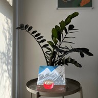 NO.5 CAFE Suphanburi -