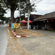 กระเพราถาด