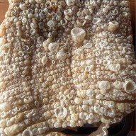 เมนูของร้าน เจ๊ติ้งอาหารตามสั่งนครชัย ซ.3