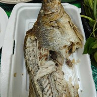 ไผ่ราชาปลาเผา