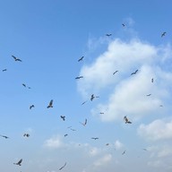 บ้านเรือ