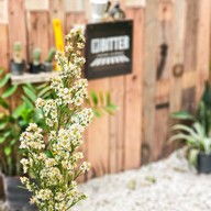 Bitter Coffee ห้วยโป่ง