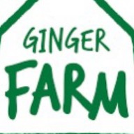 Ginger Farm 101 The Third Place