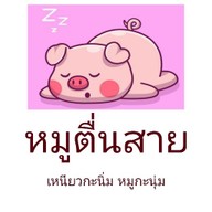 ลำไยบ้านสวน