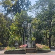 บรรยากาศ Canary Cafe & Restaurant