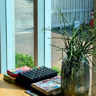 บรรยากาศ Yoo! Cafe & Deli