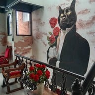 บรรยากาศ Cat Around Cafe -