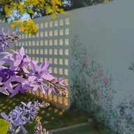 ฆ้อน คอฟฟี่