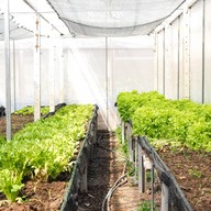 บรรยากาศ DooDo backyard farm (Cafe& Innovative Healthy Cuisines)