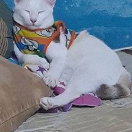 ไอติมแท่งโบราณ ป็อปนครปฐม นครปฐม