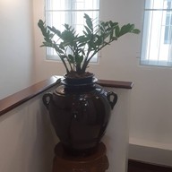 บรรยากาศ หล่อฮันโต้วฝูว 羅漢逗福 -