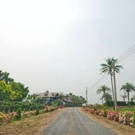บรรยากาศ เพียงดินPeangdin
