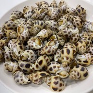 เมนูของร้าน ร้านอาหารแต้จิ๋ว พระราม 4