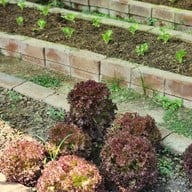 ใครขายไข่ไก่ Egg Sell By Who Art&craft Cafe‘ (slow Bar)