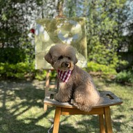 อาร์ทิมิส คาเฟ่ พระประแดง