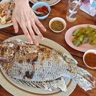ครัวตาตีบ