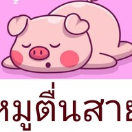 ลำไยบ้านสวน