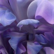 ไม่ใช้ ดินแดง