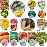 ผลไม้ปอกพร้อมทาน บ้านลูกหมี