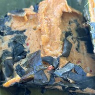 ห่อหมก เจ๊แอ๊ด ซีฟู้ด