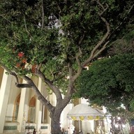 วัดไชโยวรวิหาร